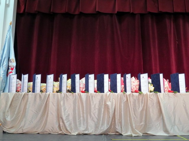 Város Napja 2018 030